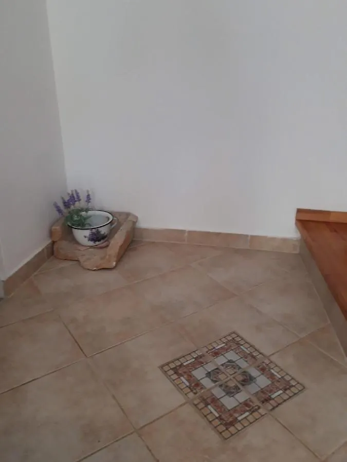 Holiday House Jasna In Island Center Silba