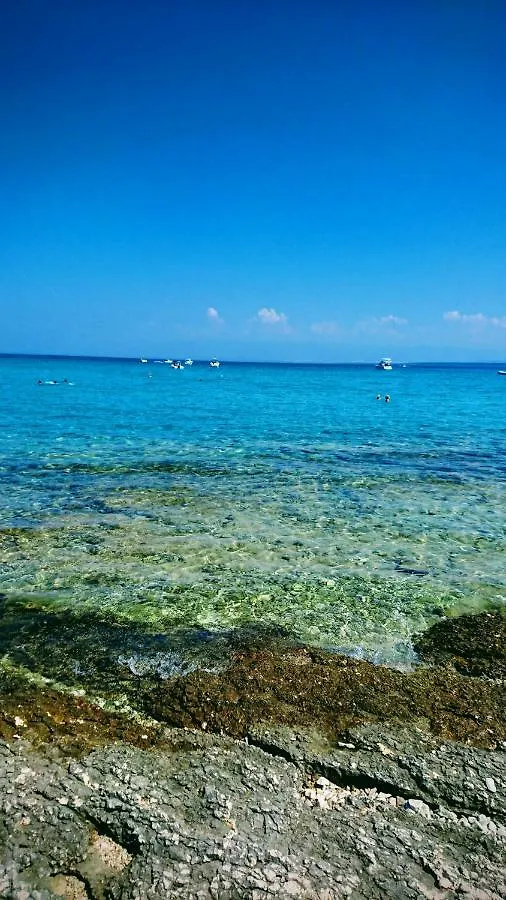 Holiday House Jasna In Island Center Silba Κροατία